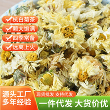 桐乡基地批发杭白菊朵花清香甘甜新货白菊花产地直发菊花茶