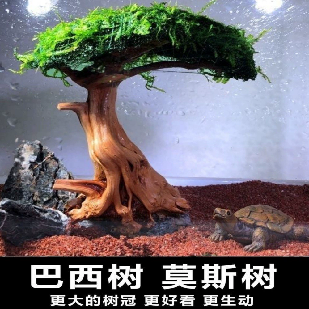 Рыбный аквариум озон Мосс дерево Рыбный аквариум дерево настоящее дерево