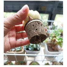 �����d�o������̿�޺��dܛ�װl���߲˺����m����K������|�I�B��