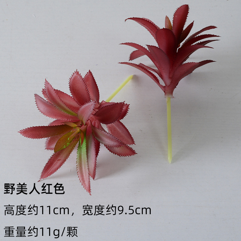 严选仿真多肉植物盆景植绒迷你假多肉配件插花绿植墙DIY装饰摆件|undefined