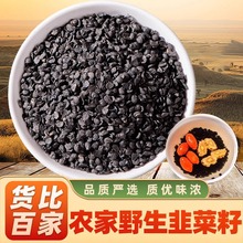 韭菜籽野生非菜籽枸杞茶老品种男士泡酒药材料菟丝子沙苑子真货装