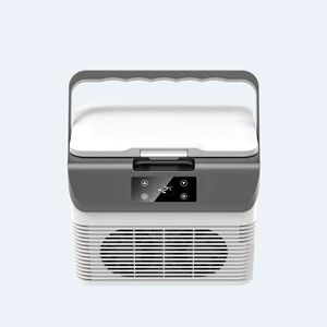 Avtomobil soyuducusu, yük maşını 24V 12V, mini soyuducu 220V, avtomobil və ev üçün
