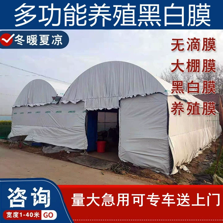 Парниковая пленка Черно-белая пленка Зеленая и белая пленка Разведение солнцезащитного крема для теплицы Теплоизоляционная пленка Светоотражающая пленка Утолщенная посадка полиэтилена Высокая термостойкость