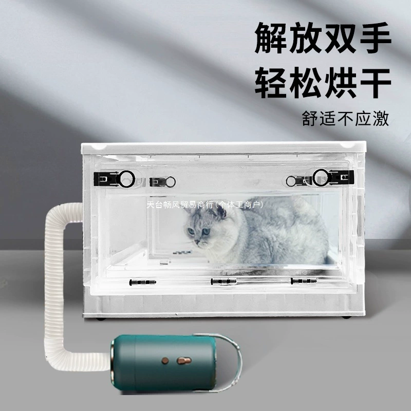 Домашние маленькие кошки и собаки принимают ванну и сушат волосы