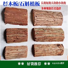 mʯNֲľ厧ƤɼľľƤʯ廨ʯ