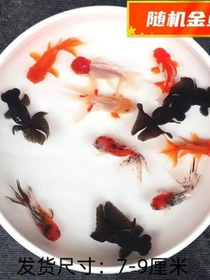 �����~С�͵�ˮ�^�p�~���B����ˮ���w�~�{���^�~���βС���~����