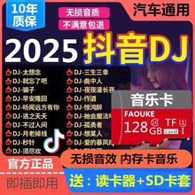 sd�����ظ�������������DJ����2024������u��mp3�������ڴ�洢��