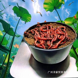 ���b����r���~�D�~ʳ���l��~�O�ߴ�̖ţ�S�D�ϼt�x���ɢ�b���D
