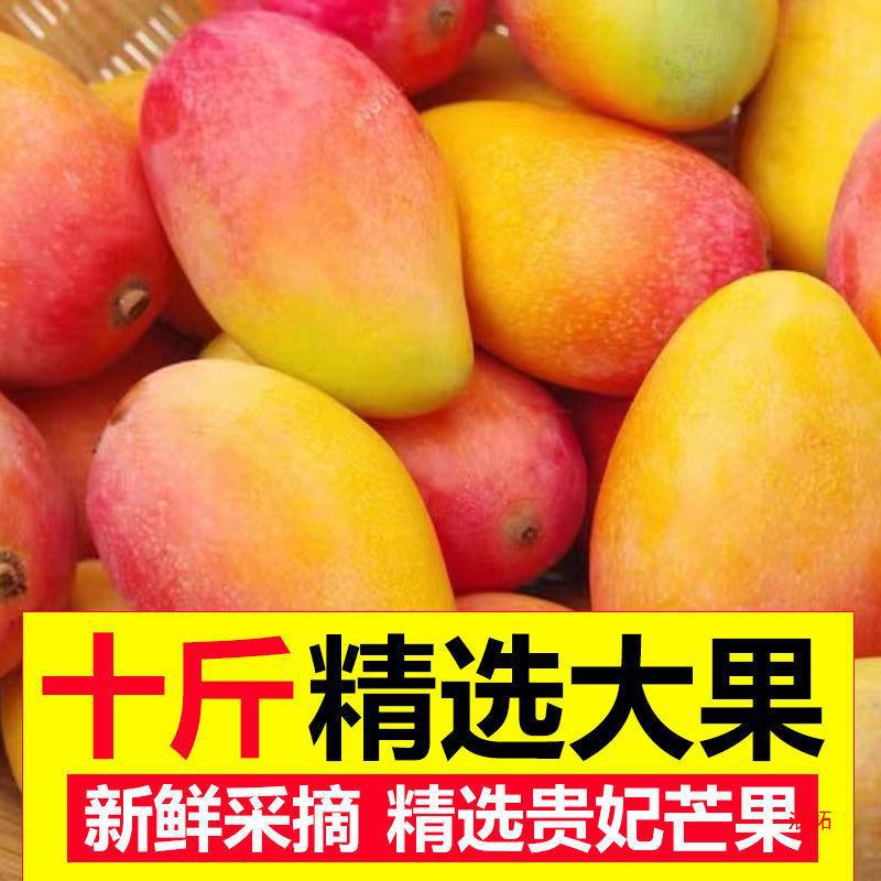 广西贵妃芒果红金龙小贵妃芒果热带新鲜水果一整箱非金煌芒小台农