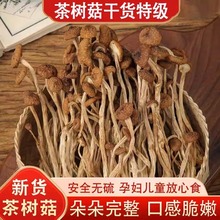 净重农家云南茶树菇干货农家特产干新货香菌菇炒菜炖汤食材直发