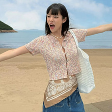 DSɫᘿŮ 2025ļ¿Ͱ_׶̿