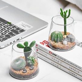 水培植物瓶;密封盒储物罐;玻璃杯