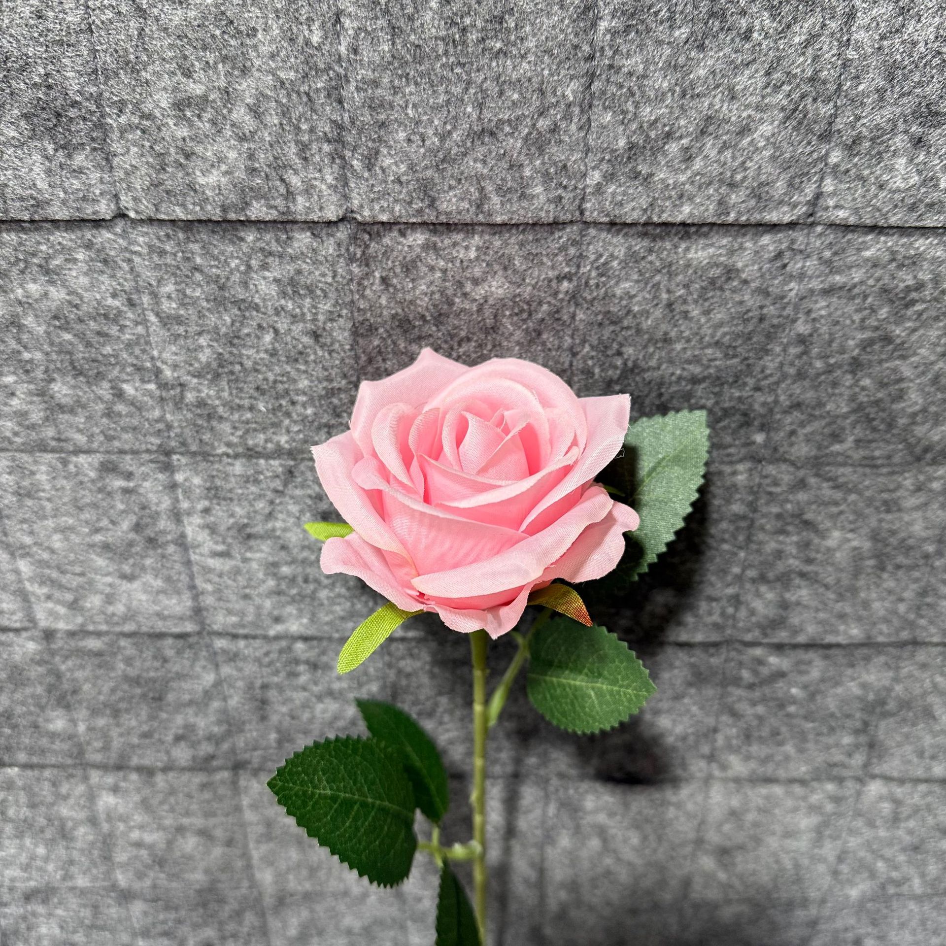 분홍색