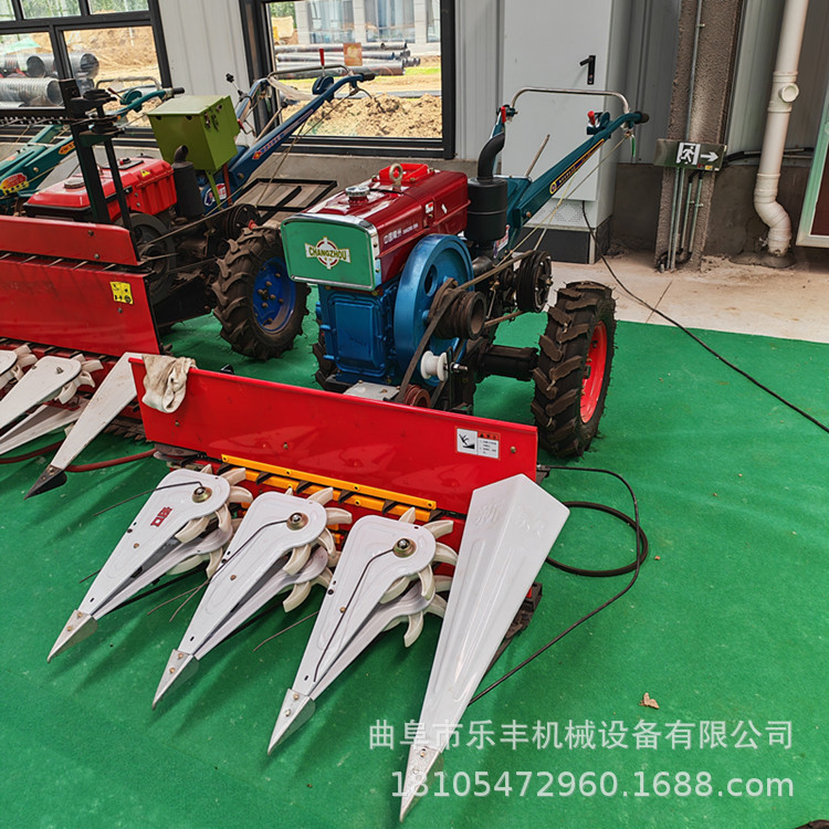 微信图片_20260610103709_530_5_副本.j