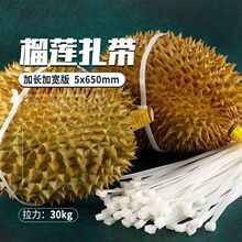��ɏ�����������iʽ��������5*650mm5*600.5*550.�����ތ�������