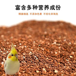 �B�ñ���ɰ���}�I�B���W�^�a�}���������Z�Bʳ�ñ���ɳ