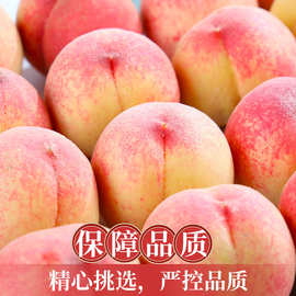 水蜜桃非苹果桃子水果毛桃脆桃整箱包邮甜桃果香现摘现发香甜脆甜