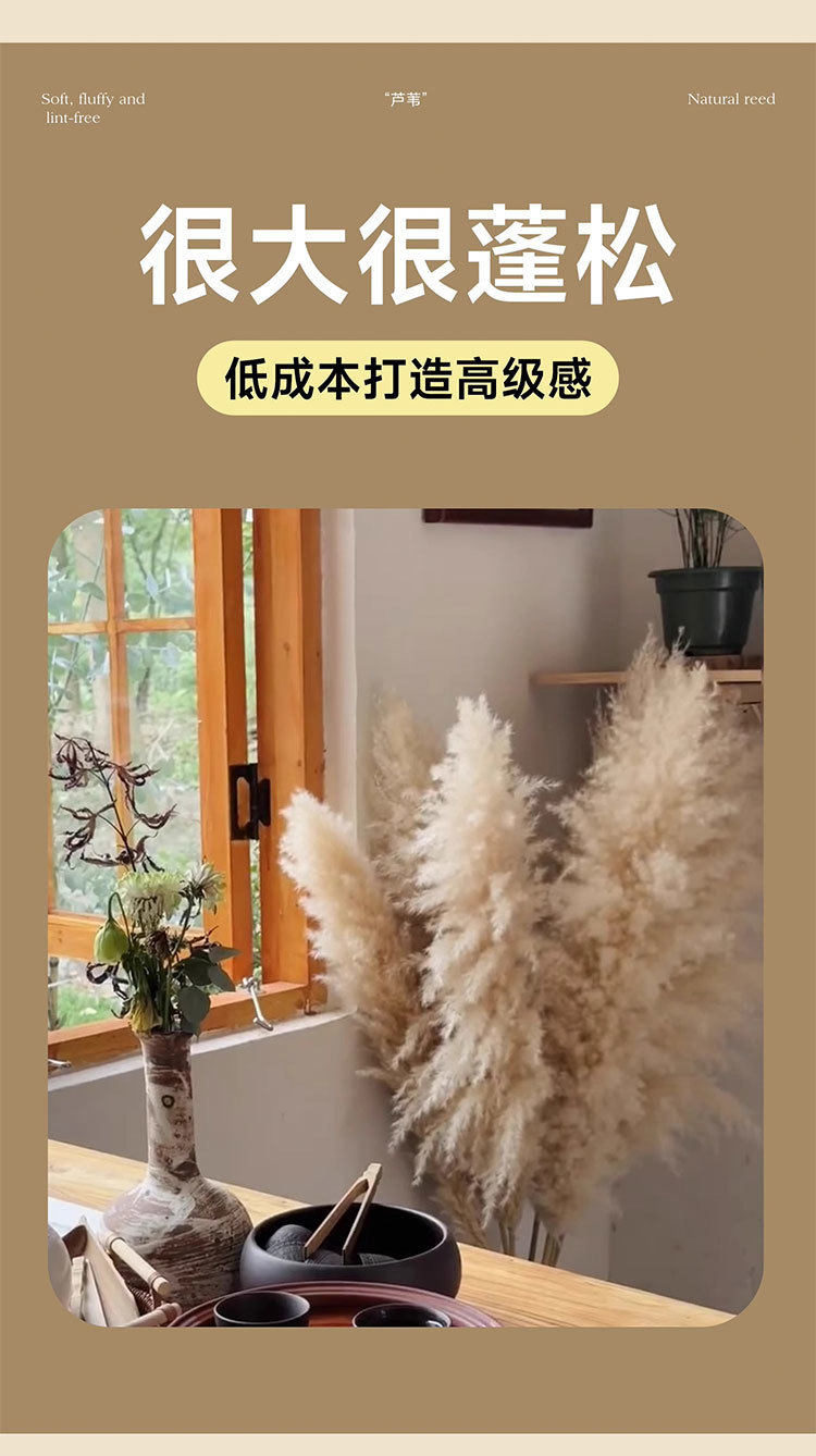 6413cbfa-17ac-4374-96dc-4955ae9f2016.jpe