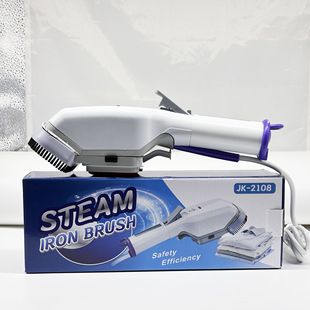 Cross-Border Amazon Handheld Garment Steamer Mini Travel Steam Brush Electric Iron 650W Portable Iron Steam Ironing Brush
