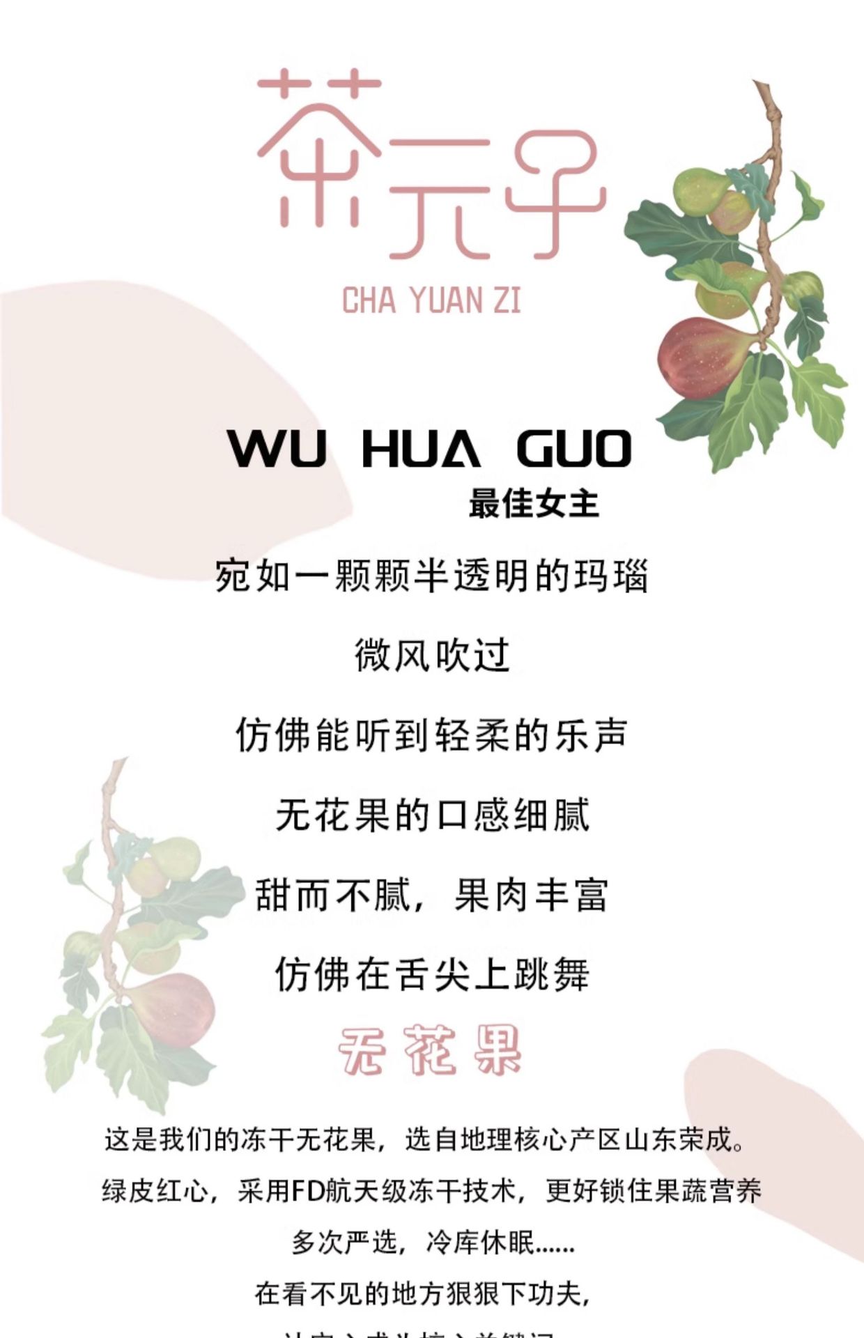 Freeze-Dried Figs Wuhuaguo Dried Fruit Snack 110g Jar Sugar-Free Herbal Tea Ingredient key features