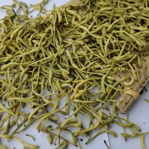 Bulk wholesale honeysuckle tea 500g new goods green gold honeysuckle dry without foam herbal tea, bulk purchase preferred