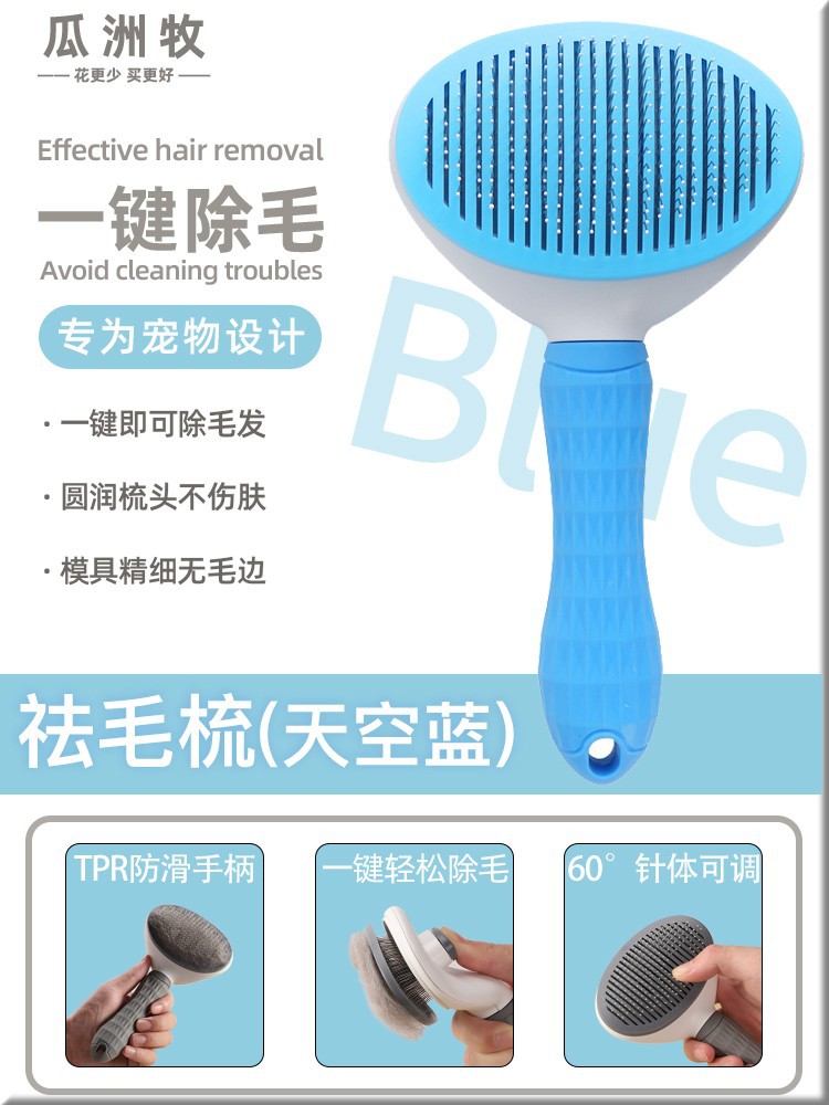 둥근 파란색 빗