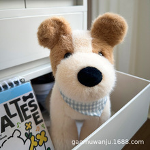 FoxTerriers��ë�C������ż���Ї���վ�˹���鰲��ë�q���