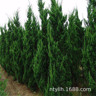 �ļ����� ���ؘ����ɘ����ɰ؂Ȱؙu�ذؘ���u������ ������