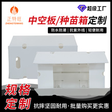 江西中空板育苗箱种苗箱农业保温透气环保pp塑料中空板周转箱