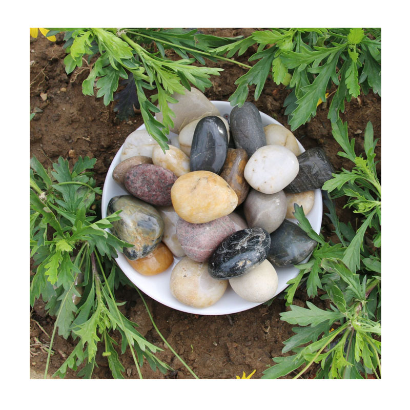 С׾רī껨ʯ|3-5cm׼ˮ/ͥԺʯ