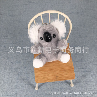���������С����ë�q��ż���b�������耳ג����ͯ�J֪����8CM