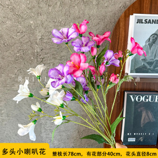 ���滨���^��ͩ��С���Ȼ���c����ܛ�b������@��ˇ�L����߼ٻ�