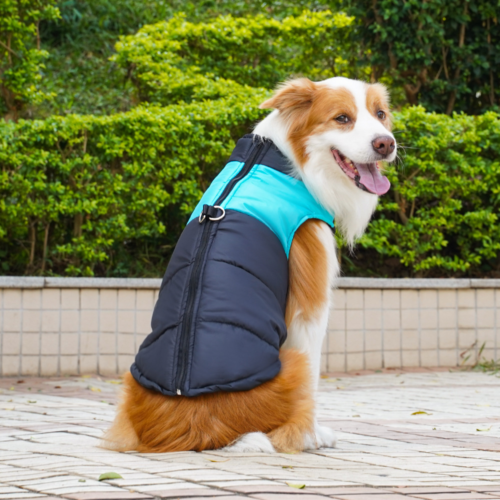 Ropa para mascotas, estilo otoño e invierno, chaleco de algodón para perros, ropa para perros y gatos, golden retriever, perros medianos y grandes, arnés al por mayor