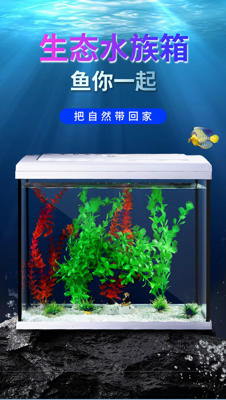 eb9f8786-0168-4a75-ab37-70c2d29b3ad2.jpe