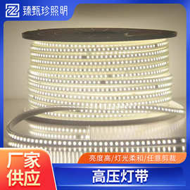 户外高压灯带220v柔性高压灯带直播摄影补光灯拍照氛围灯带批发