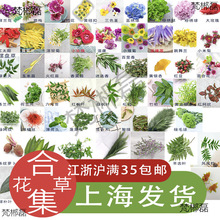 [Pb͏dϴ[PcYbֲb[P