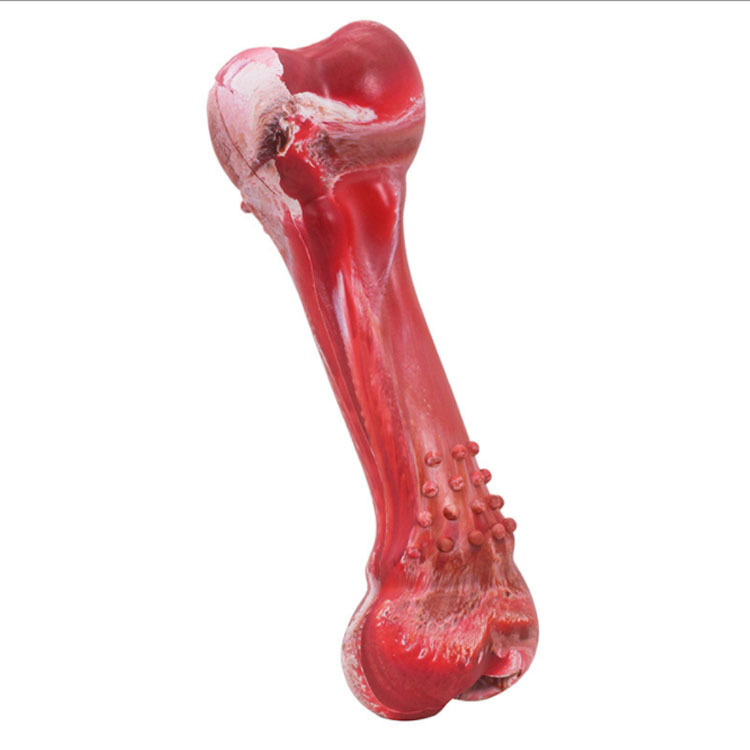 宠物解闷玩具大中小型犬耐咬骨头发声玩具狗狗宠物用品