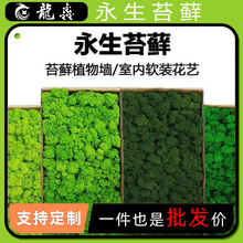 ����̦�\����Gֲ��c��Ʒ�쾰�Շ������b��҃Ȳ�Ƥ���滨�߷���