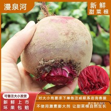 新鲜甜菜根 5斤 紫菜头 红菜头 红甜菜 农产品蔬菜 产地直发包邮