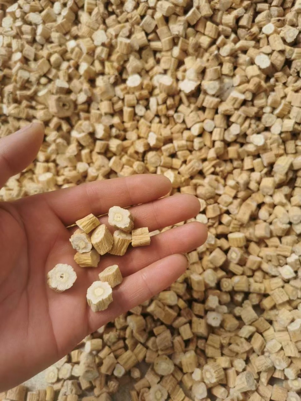Gansu Codonopsis Tablets, Sulfur-Free Agricultural Products, Large Pieces of Processed Codonopsis for, One-Piece Dropshipping Codonopsis detail image