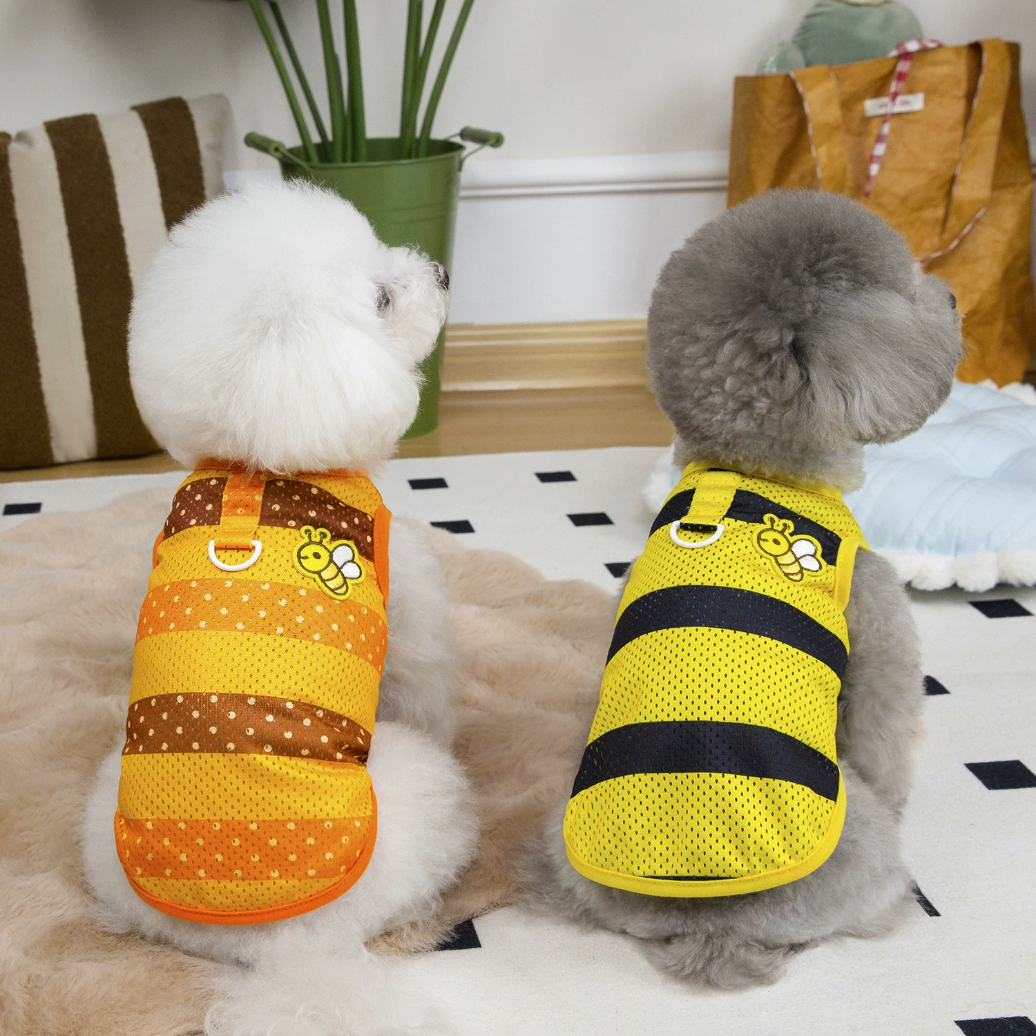25 пчелиный жилет домашняя одежда кошка лучше, чем медведь