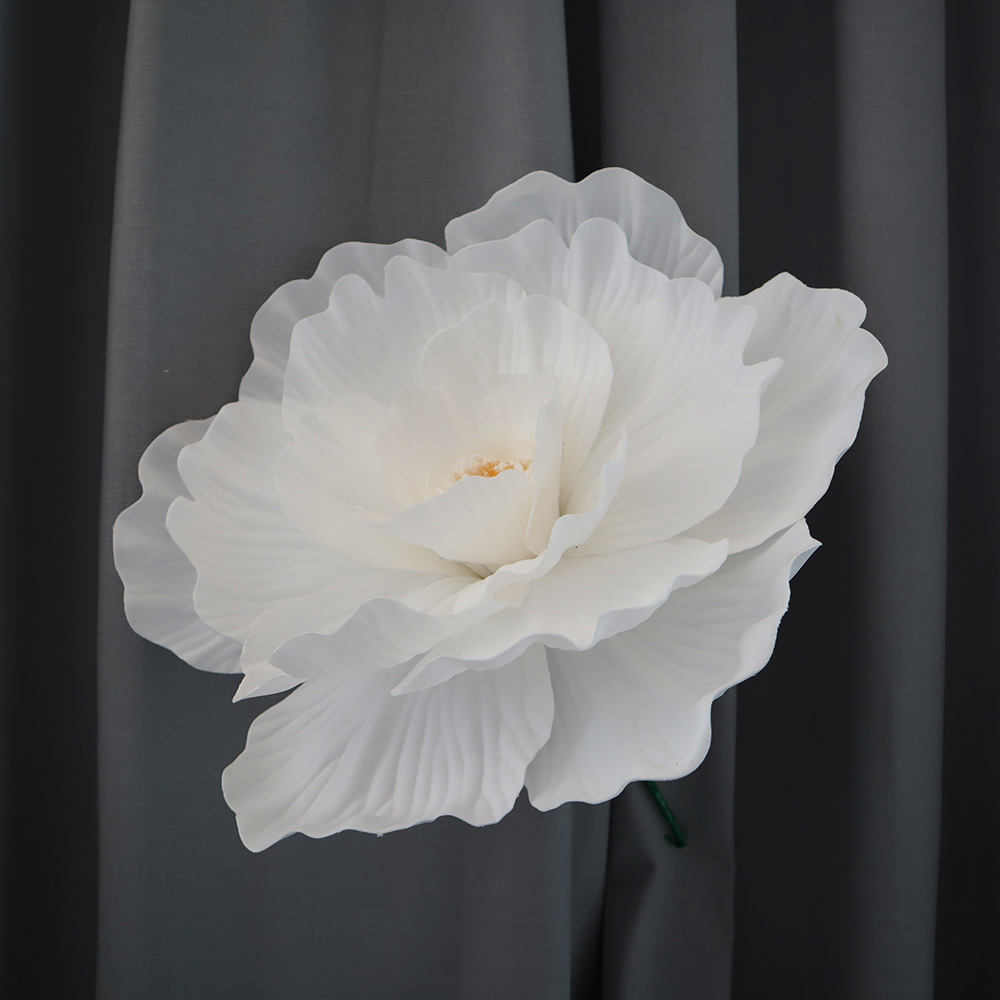 흰색 약 50cm