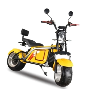 Harley Citycoco elektrik kreyser motosikletləri və skuterləri, EEC COC ixracı.
