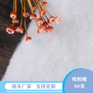 60�ˇ��z�� ������������ ������q����đ��о��q�������