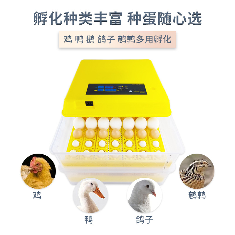 112 incubadora inteligente pequeña incubadora automática de huevos una llave de pollo pato ganso codorniz incubadora