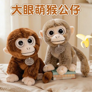 �羳�������С������ż�ɐ۴��ۺ���ë�q��߹��в������b[��