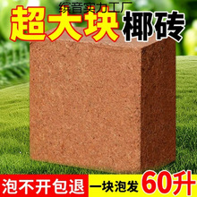 9���KҬ�u�I�B���B����Ҭ�Ӛ�����Ү�u�N������Ó�}Ҭ���u
