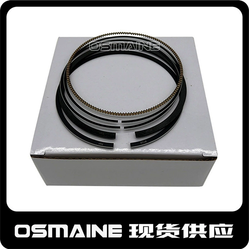 287177 286954 296139 для Maserati 3.0 бензин V6 поршневые кольца