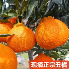 �Fժ���ٲ�֪�����10�����rˮ���������r������Ұҳ��ˮ��