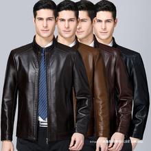 Ʒ�ƺ�����ʿ���׶̿�Ƥ�A�����b������Ӻ�Ƥ�����I�ﶬ�ӽqƤ��